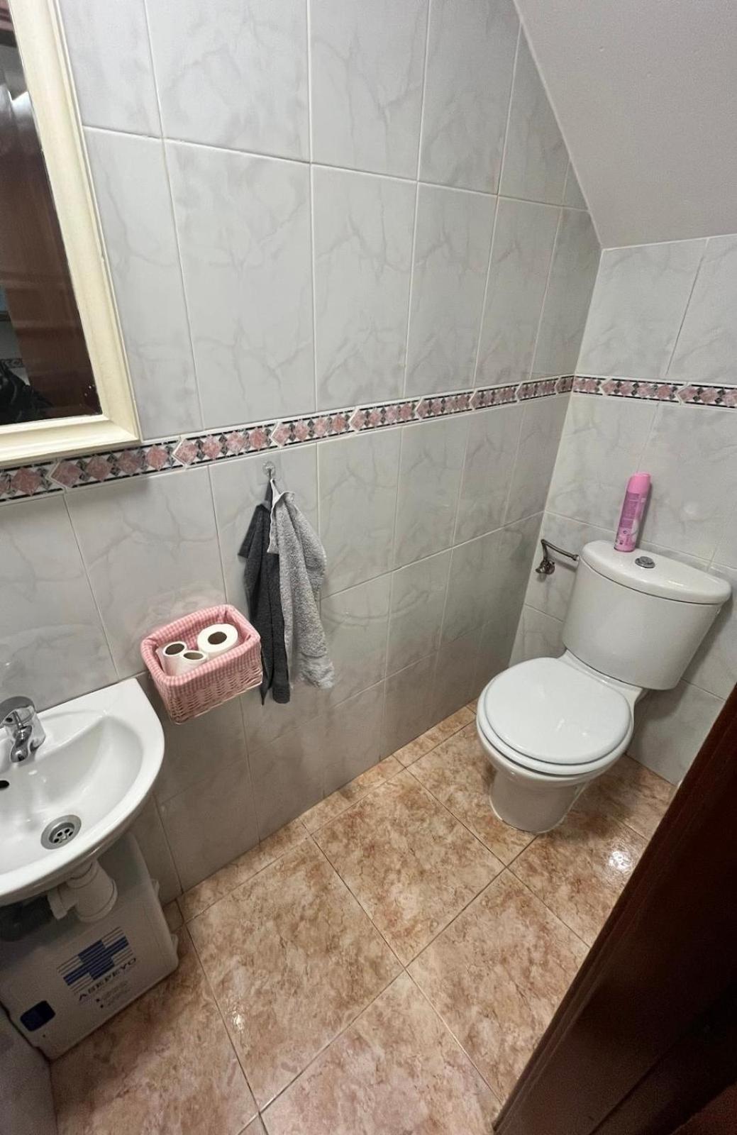 Sabiñánigo Pirineo Aragones. Casa La Pazヴィラ エクステリア 写真